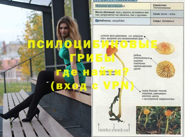 a pvp Богородицк
