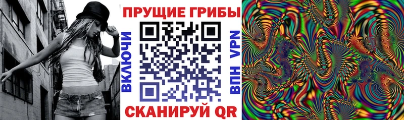 закладка  Духовщина  Галлюциногенные грибы MAGIC MUSHROOMS 